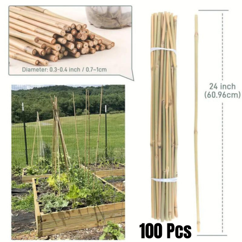 100 pcs Natural Bamboo Plant Stakes