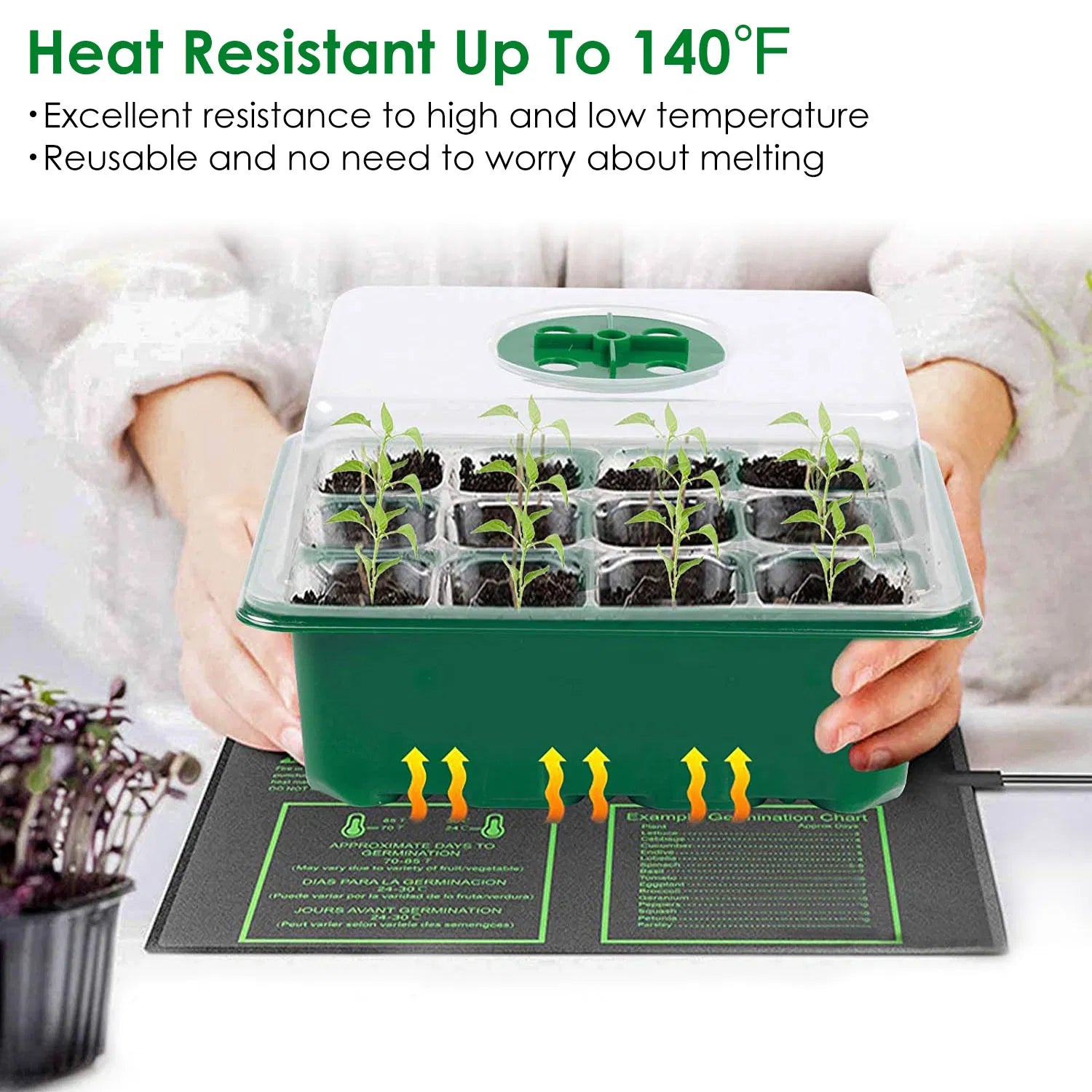 10 Pcs Seedling Tray, Seedling Tray with Dome