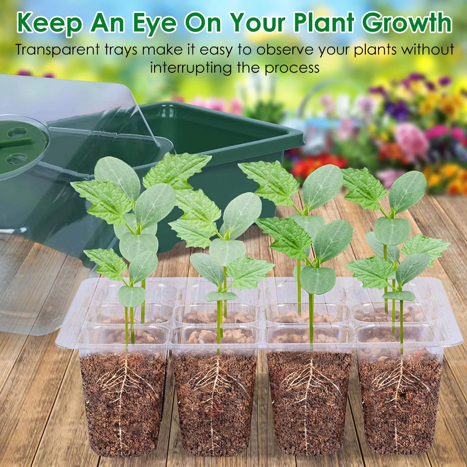 10 Pcs Seedling Tray, Seedling Tray with Dome