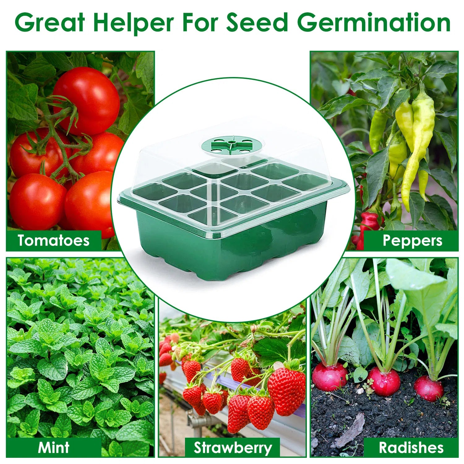 10 Pcs Seedling Tray, Seedling Tray with Dome