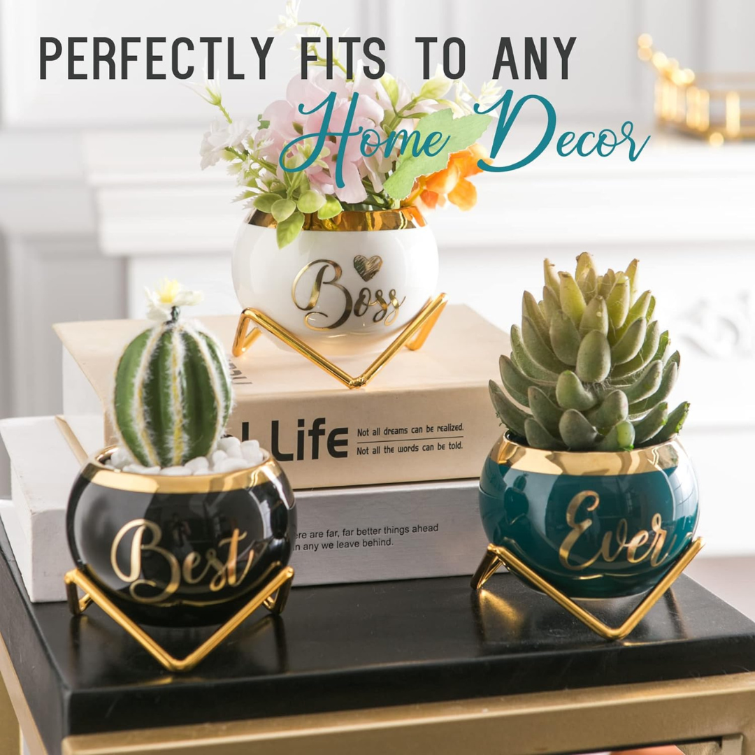 Small Plant Pots for Gifts | Cute Pot For Plants