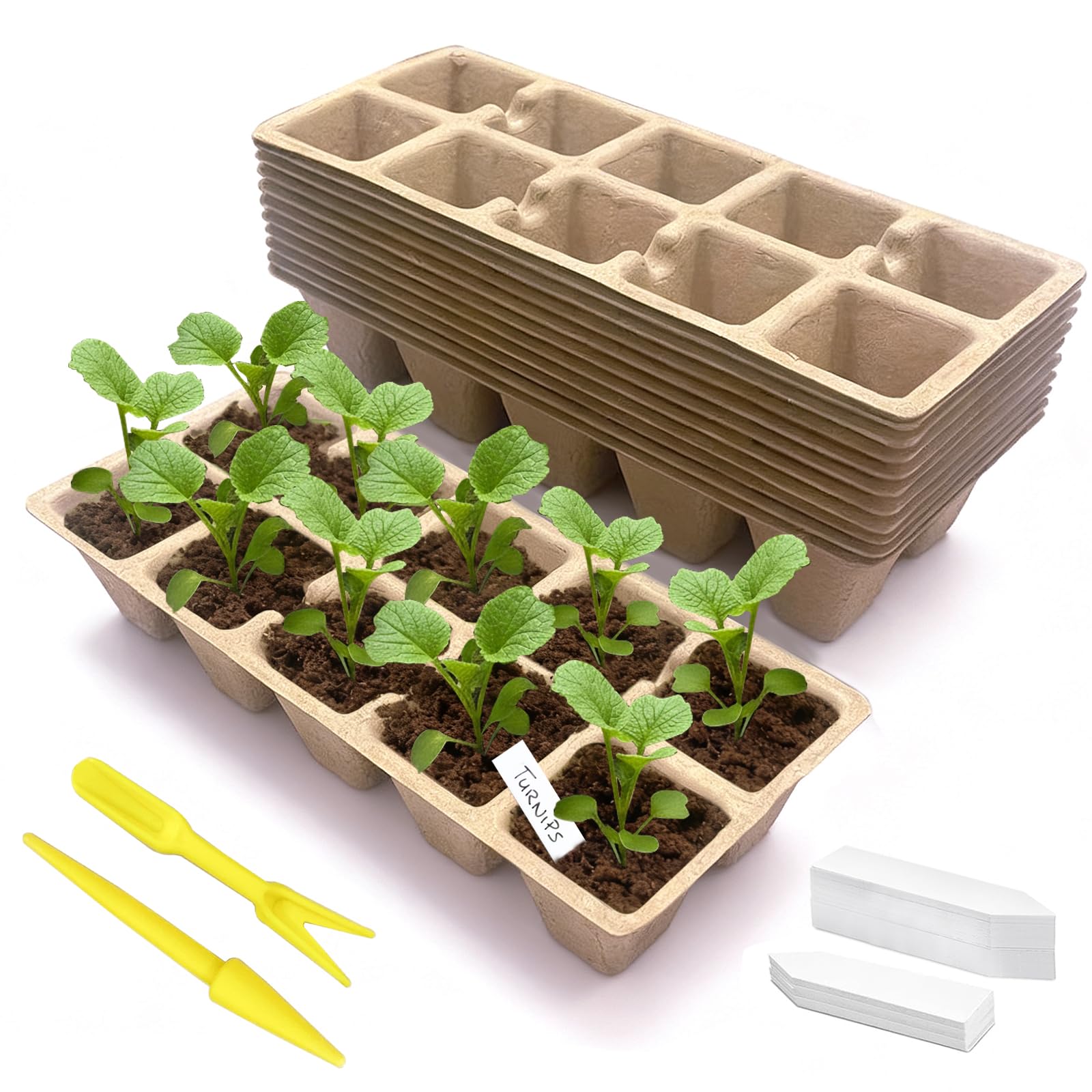  Seed Trays