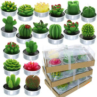 Decorative Candles | Cactus Candles Gift Set