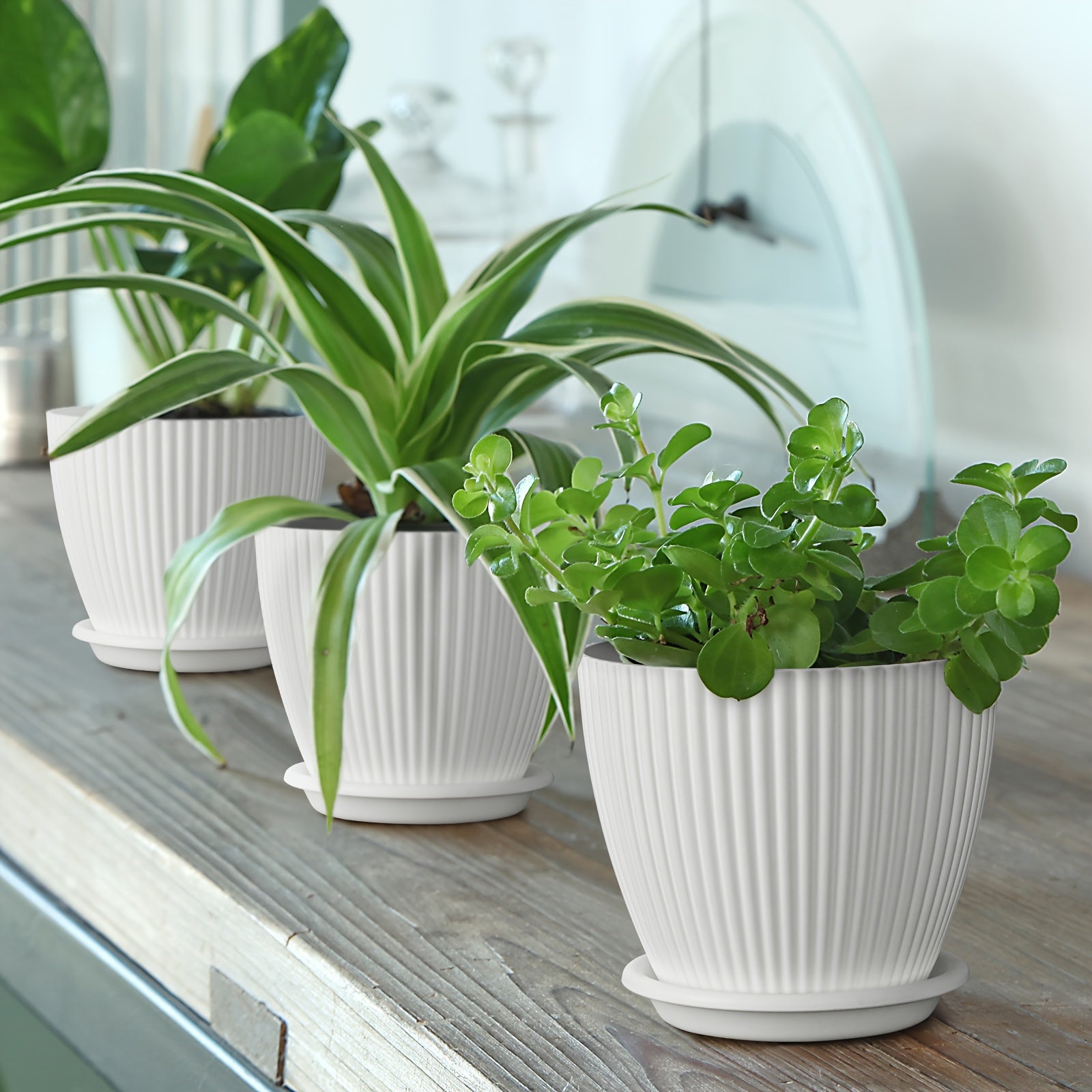 5 Pcs Plant Pots with Saucers - White