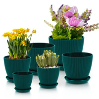 6 Pcs Set of Flower Pots