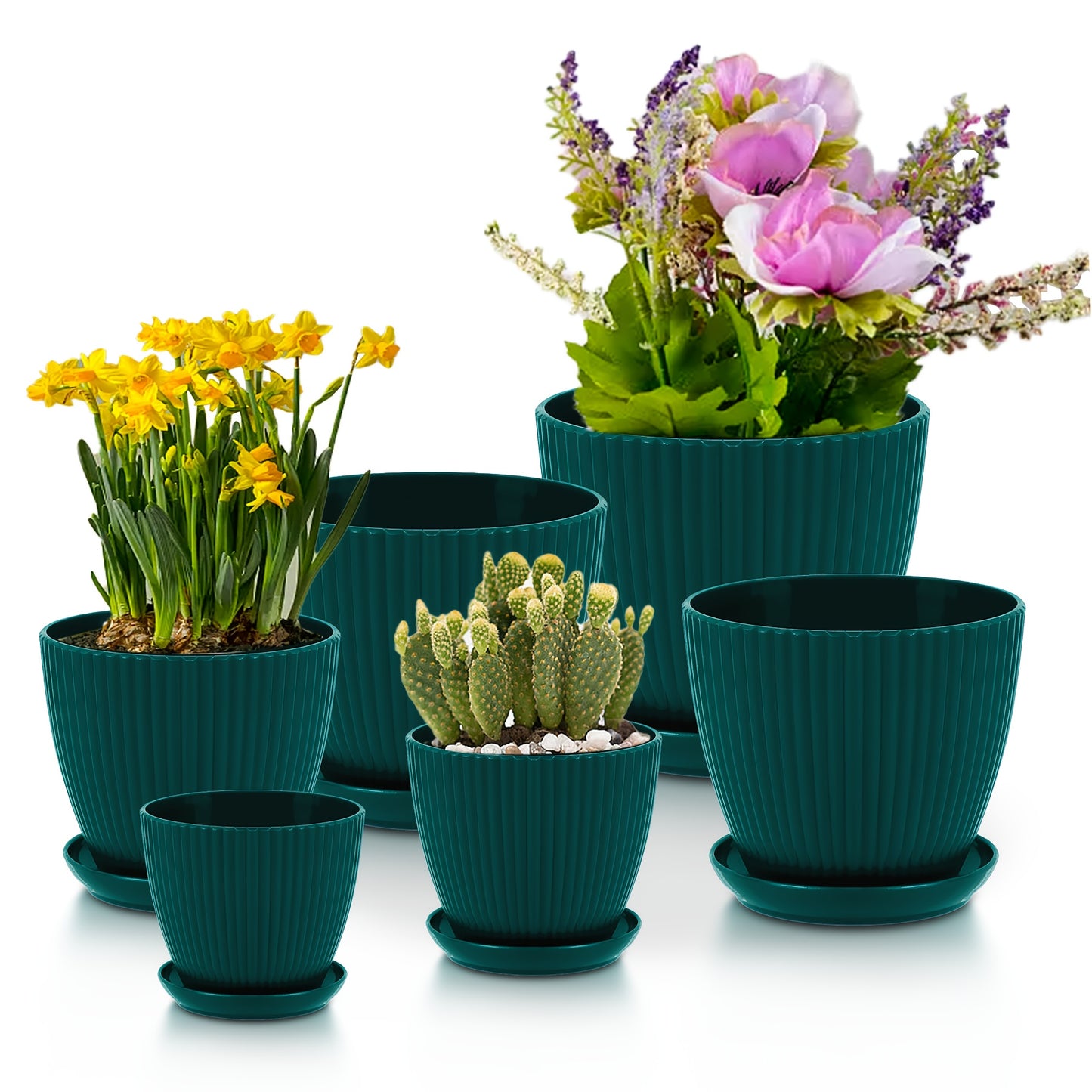 6 Pcs Set of Flower Pots