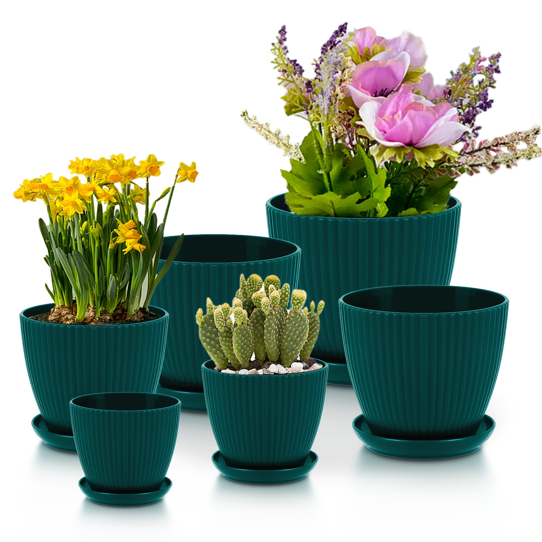 6 Pcs Set of Flower Pots