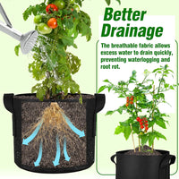 20 Gallon Grow Bags