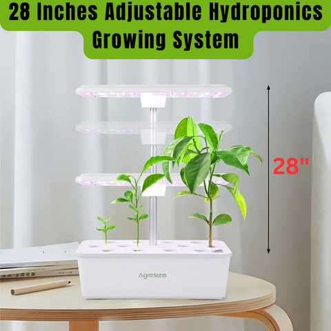 Hydroponics Growing System - Agrestem