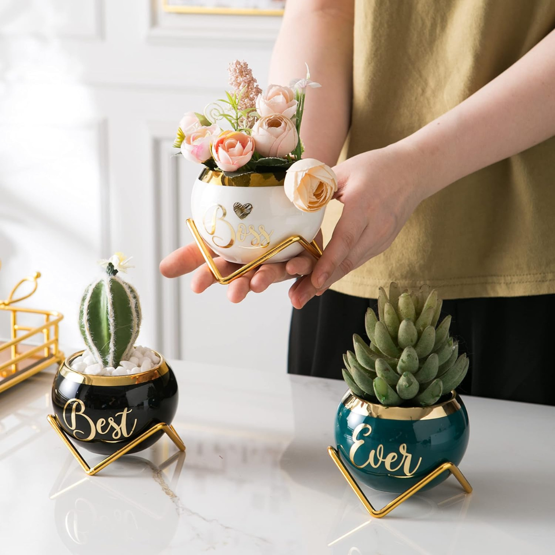 Small Plant Pots for Gifts | Cute Pot For Plants