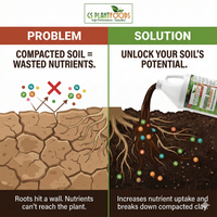 Organic Liquid Humic Acid Soil Amendment