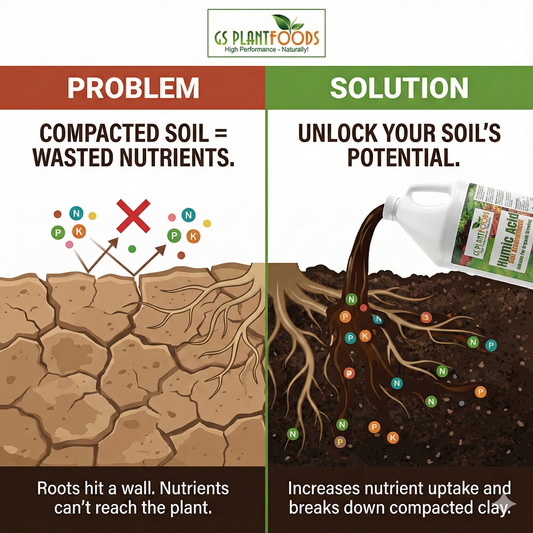 Organic Liquid Humic Acid Soil Amendment