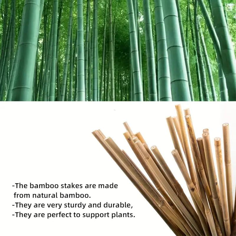 100 pcs Natural Bamboo Plant Stakes