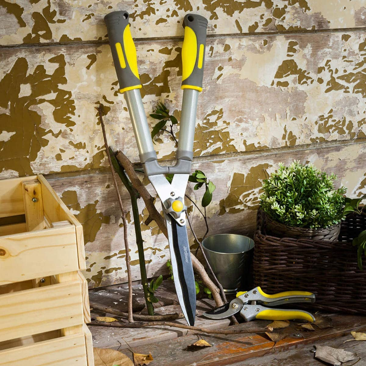 Hedge Shears