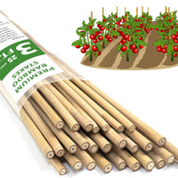 Bamboo Plant Stakes