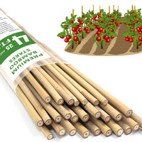 Bamboo Plant Stakes