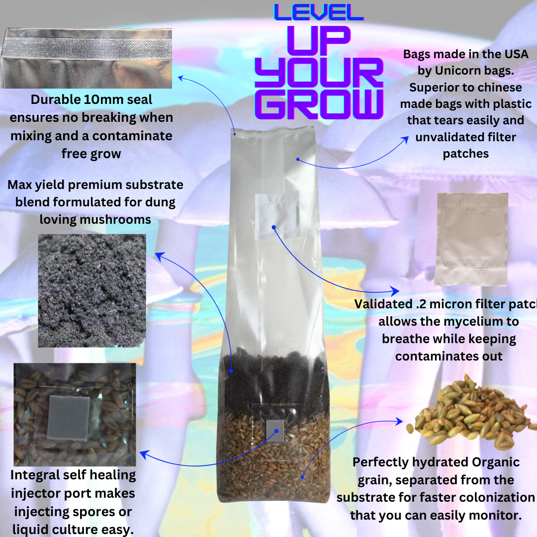 4 Pack Mushroom Grow Bags, Mushroom Grow Kit