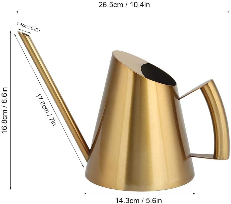 Stainless Steel Watering Can 