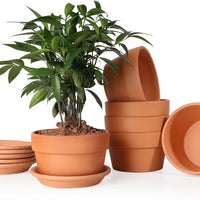 huge terracotta plant pots