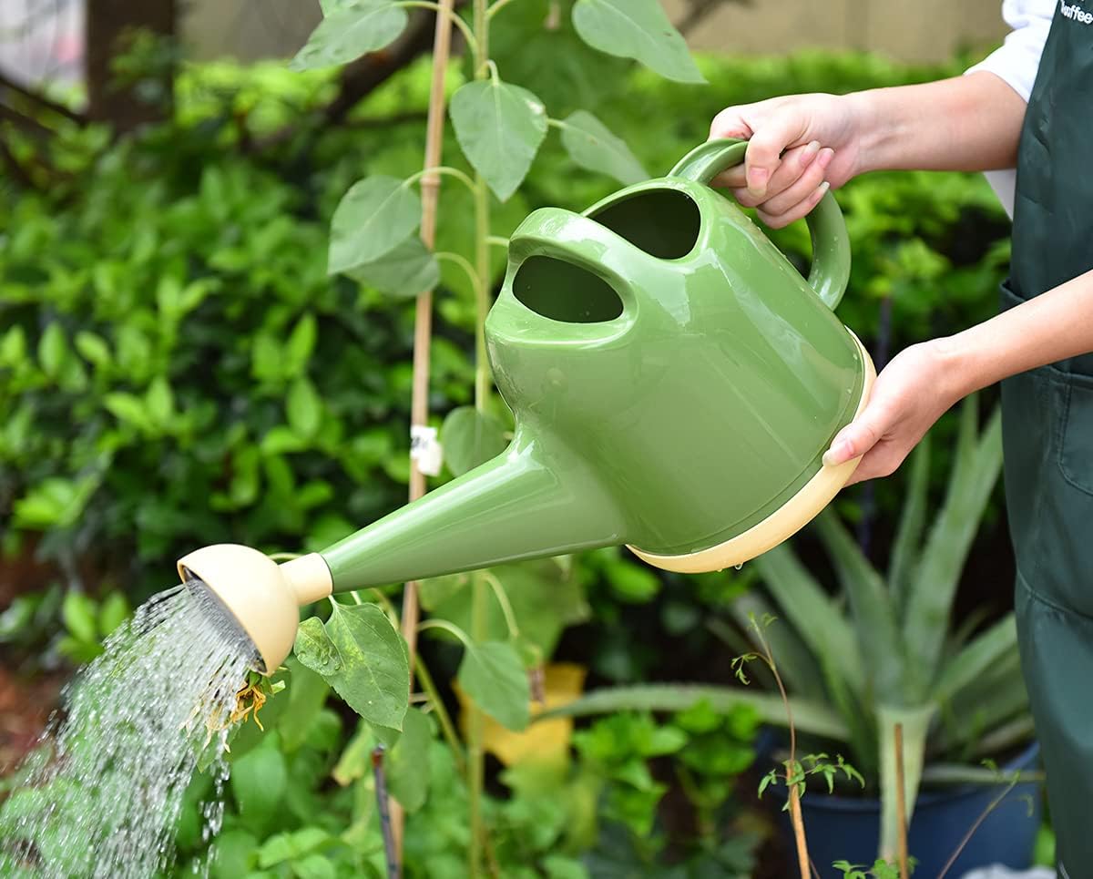 Long Spouted Watering Can