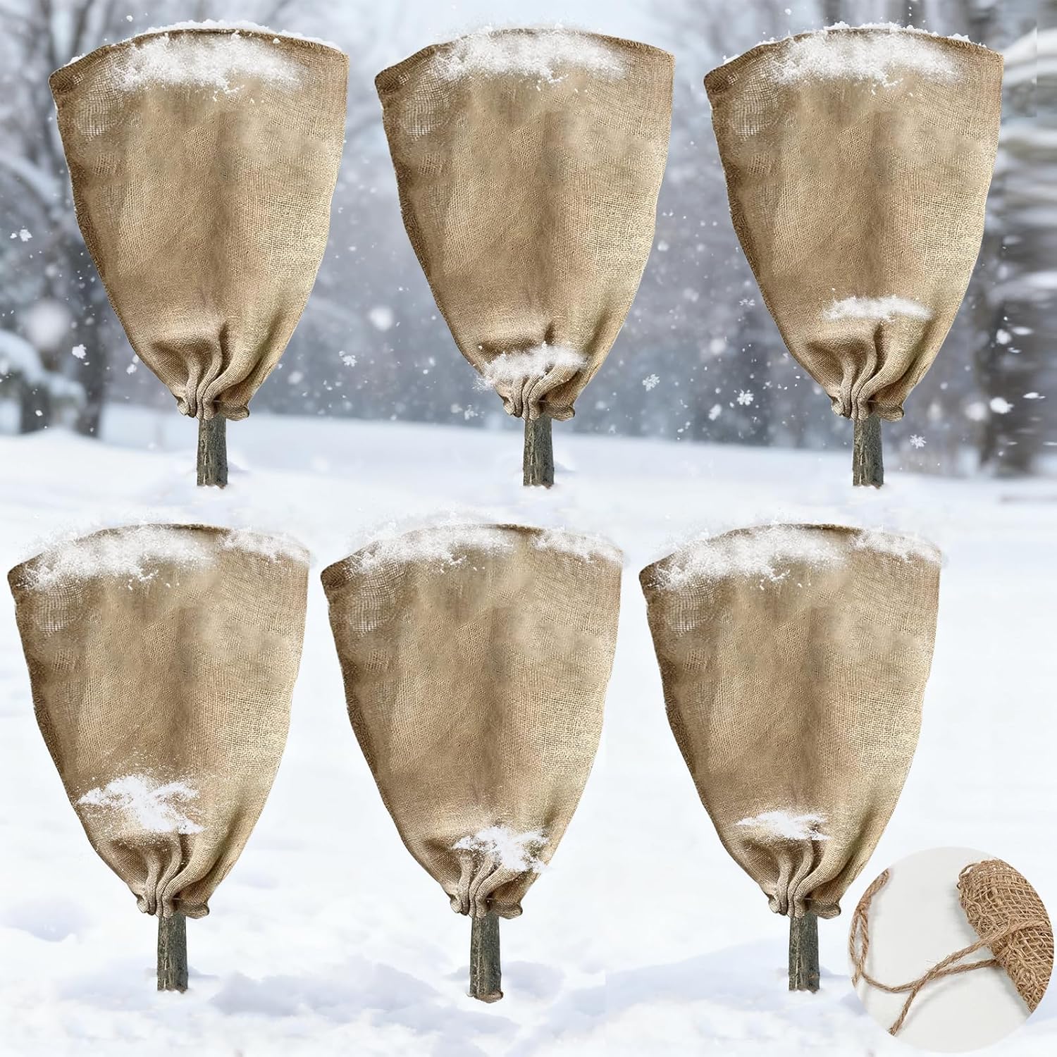 Frost Protector for Plants