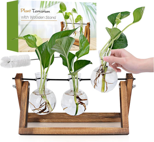 Plant Propagation Station, Plant Terrarium with Wooden Stand, Unique Gardening Birthday Gifts for Women Plants Lovers, Home Office Garden Decor Planter - 3 Bulb Glass Vases