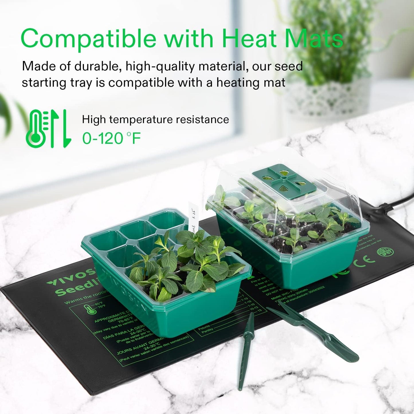 Seedling Trays