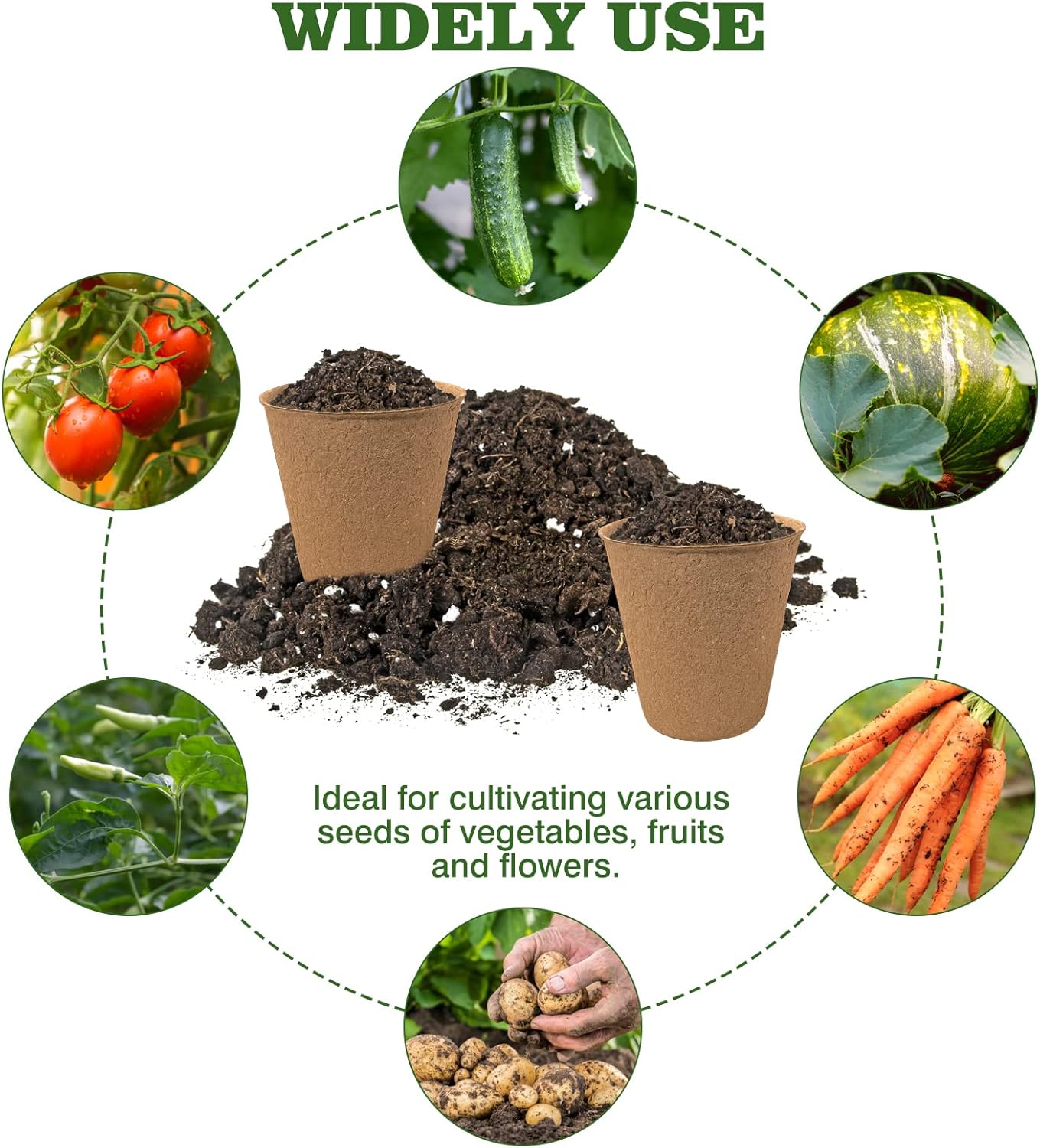 40Pcs 3.15 Inch Peat Pots, Biodegradable Eco-Friendly Round Plant Seedling Starters Kit, Seed Germination Trays with 10 Plant Labels for Flower Vegetable Tomato Saplings & Herb Seed Germination