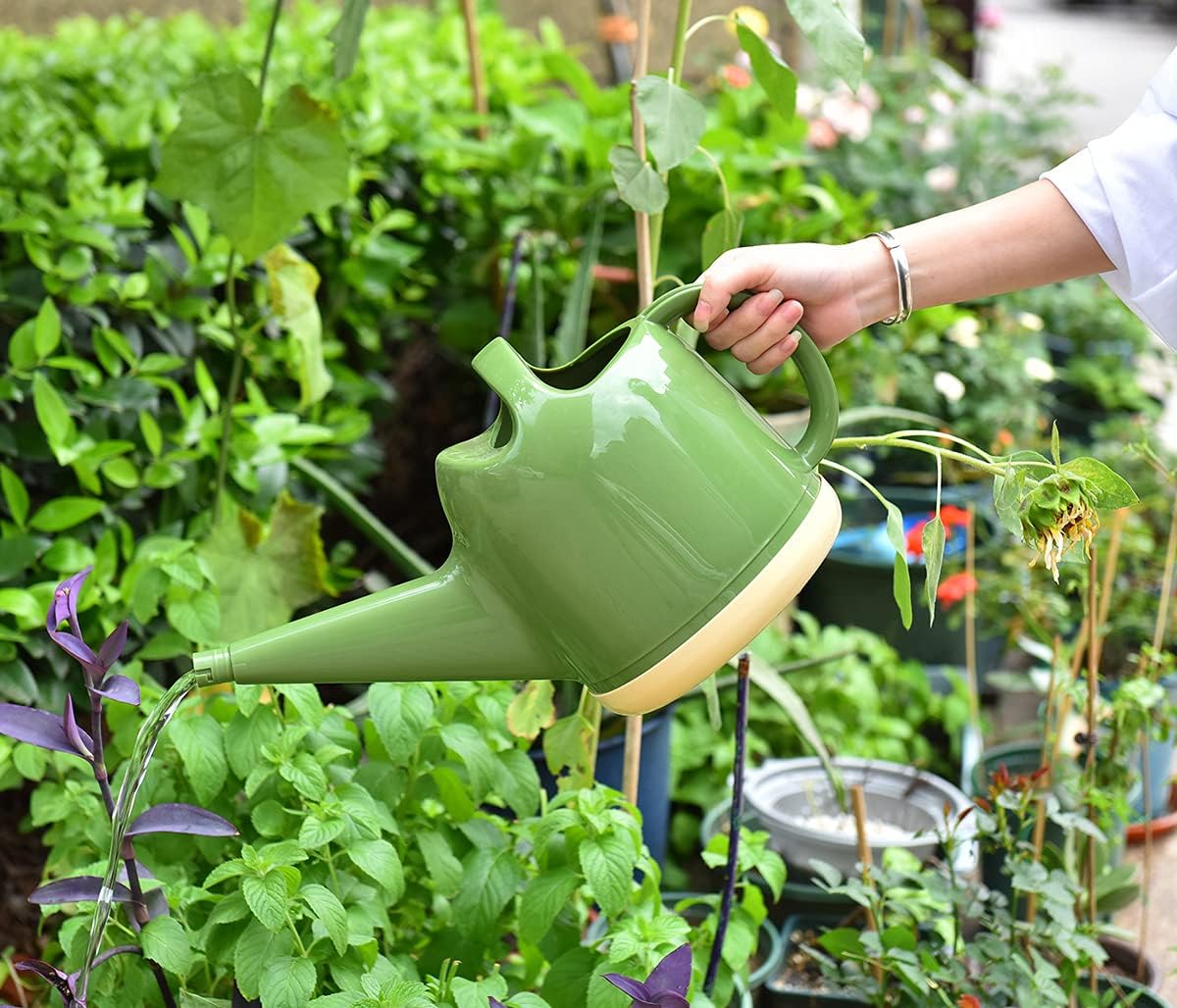 Long Spouted Watering Can