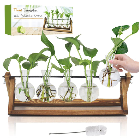 Plant Propagation Station, Plant Terrarium with Wooden Stand, Unique Gardening Birthday Gifts for Women Plants Lovers, Home Office Garden Decor Planter - 3 Bulb Glass Vases