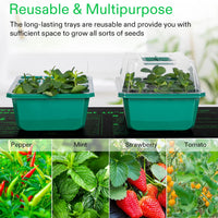 Seedling Trays