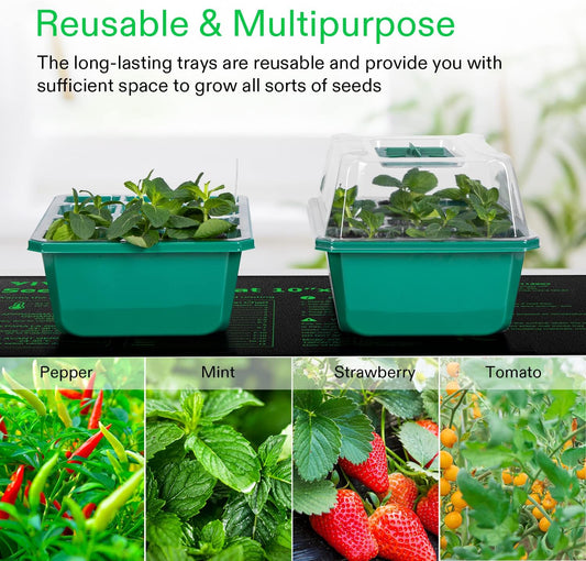 Seedling Trays