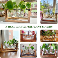 Plant Propagation Station, Plant Terrarium with Wooden Stand, Unique Gardening Birthday Gifts for Women Plants Lovers, Home Office Garden Decor Planter - 3 Bulb Glass Vases