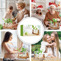 Plant Propagation Station, Plant Terrarium with Wooden Stand, Unique Gardening Birthday Gifts for Women Plants Lovers, Home Office Garden Decor Planter - 3 Bulb Glass Vases