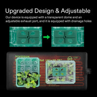 Seedling Trays