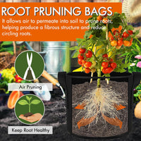 20 Gallon Grow Bags