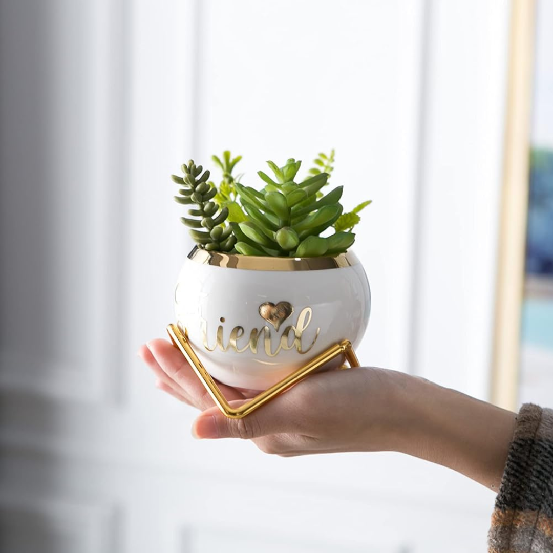 Small Plant Pots for Gifts | Cute Pot For Plants