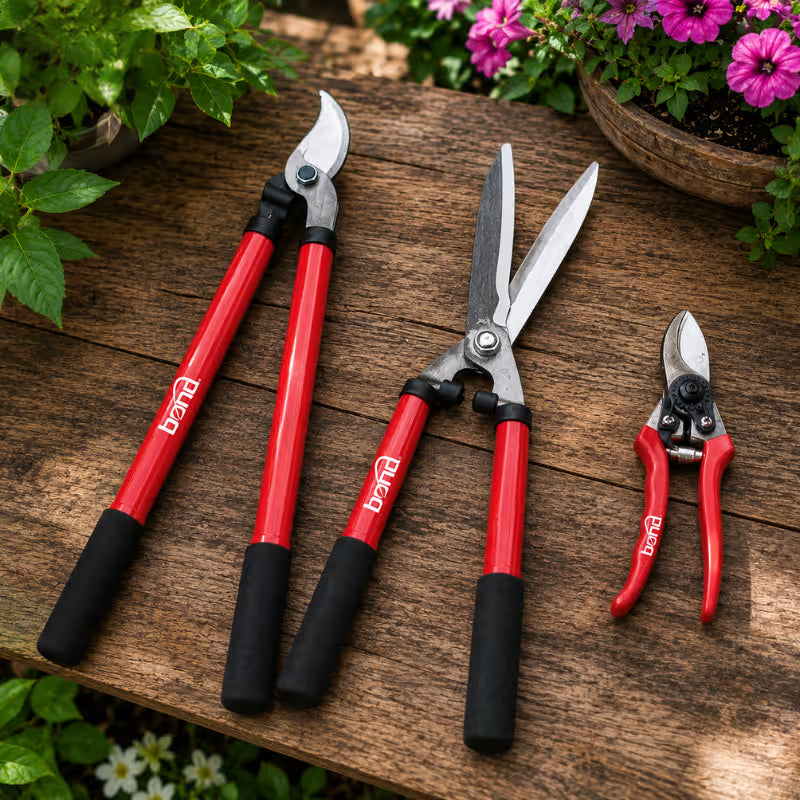 Vegetables, Rose and Fruit Apple Tree Pruning Tools Set