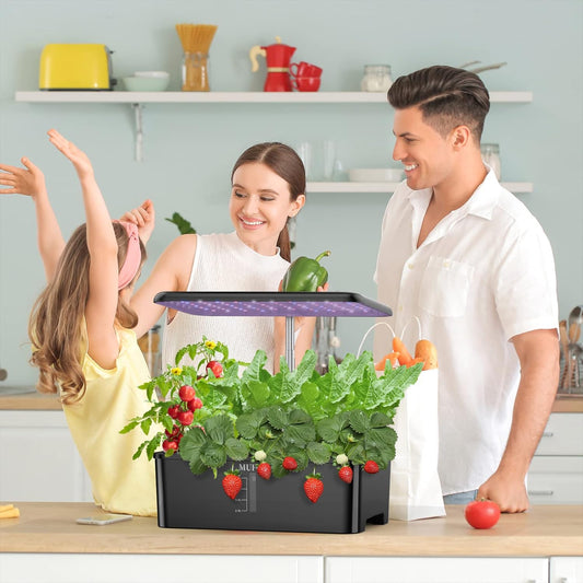 Hydroponics System Kit