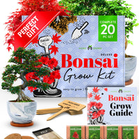 Bonsai Tree Starter Kits