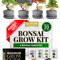 Bonsai Tree Starter Kits