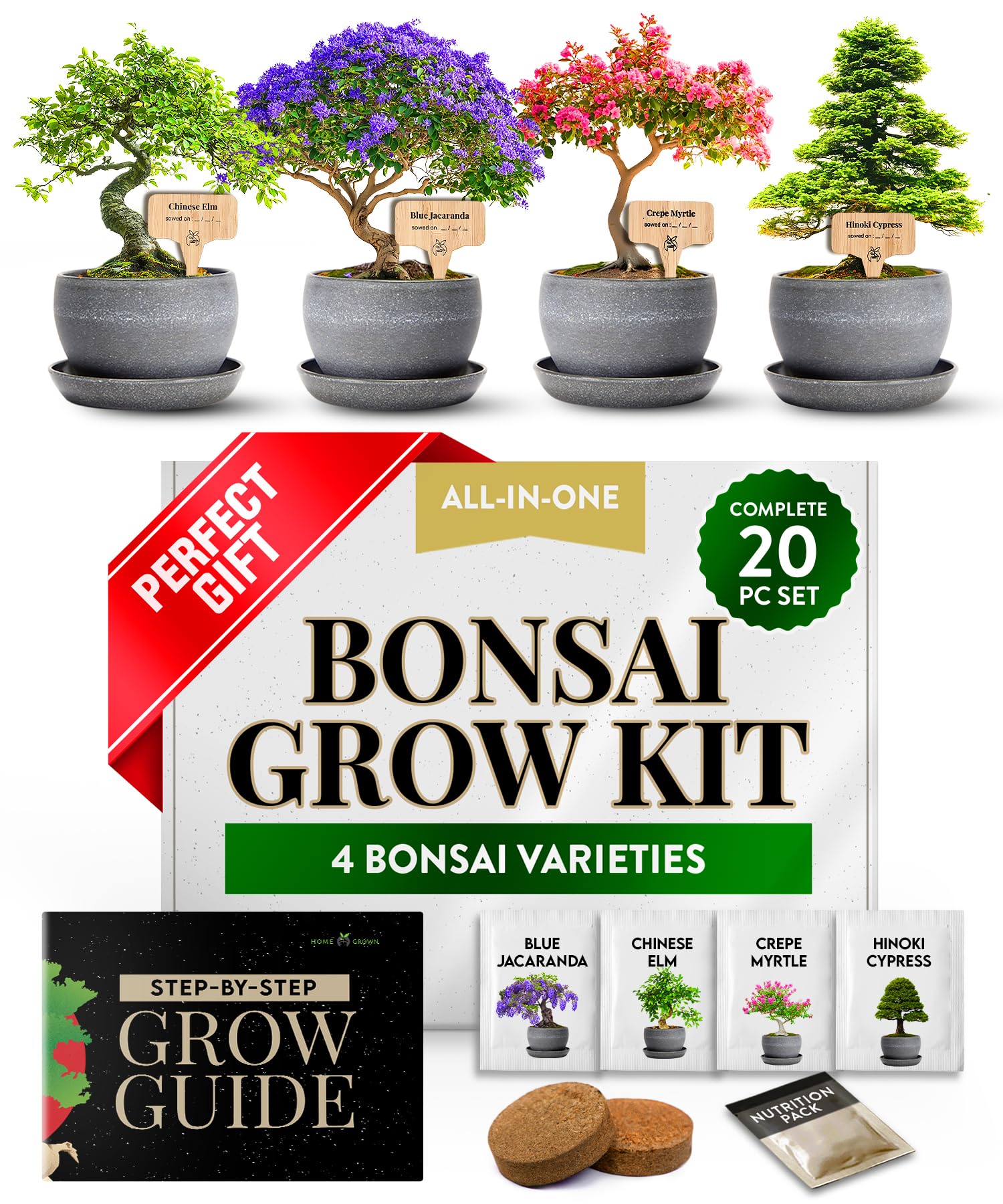 Bonsai Tree Starter Kits