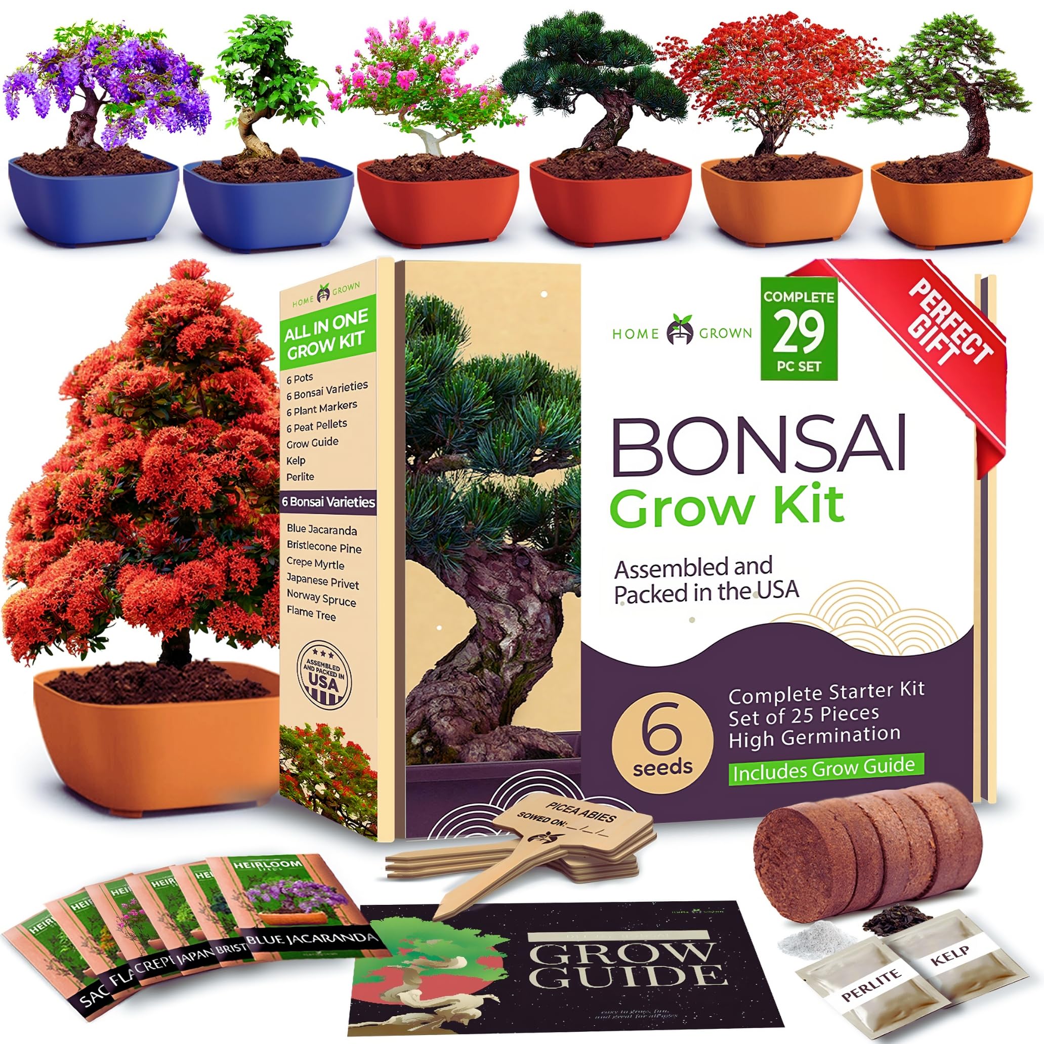 Bonsai Tree Starter Kits