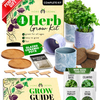 Bonsai Tree Starter Kits