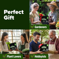 Bonsai Tree Starter Kits