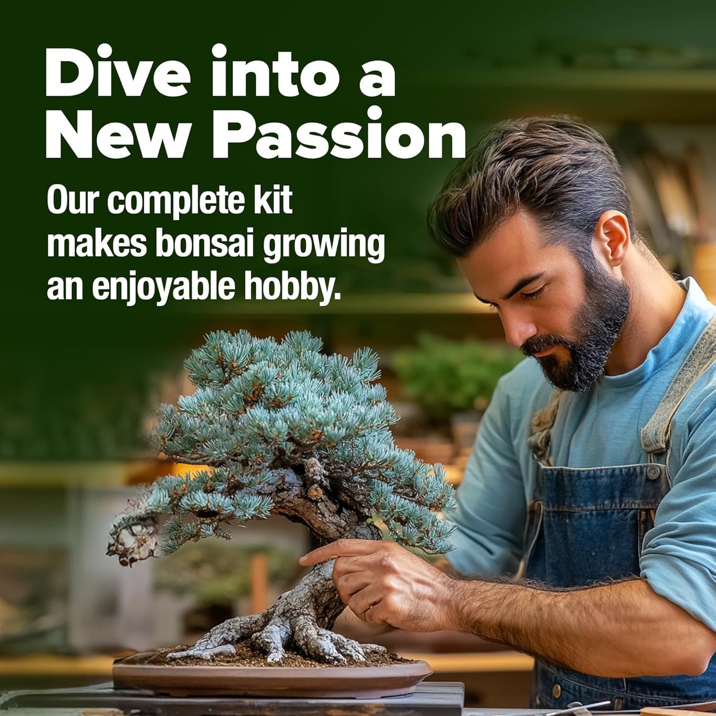 Bonsai Tree Starter Kits