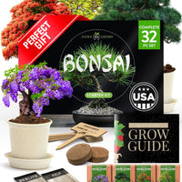 Bonsai Tree Starter Kits