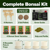 Bonsai Tree Starter Kits