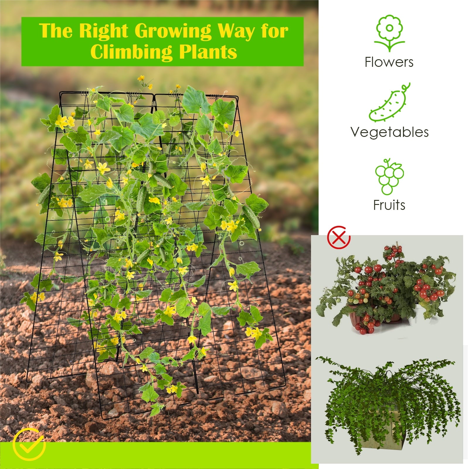 Cucumber and Bean Garden Trellis