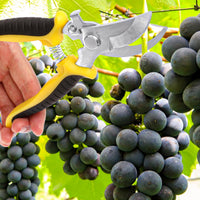 Small Pruning Shears